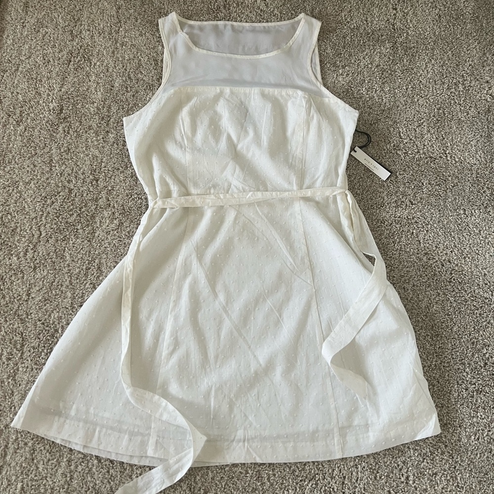 ⭐️ Firm Price ⭐️ White Dress with Swiss polka dots - Picture 3 of 12